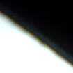 avatar-icon